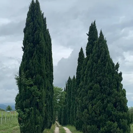 Casa Segreta * Baschi
