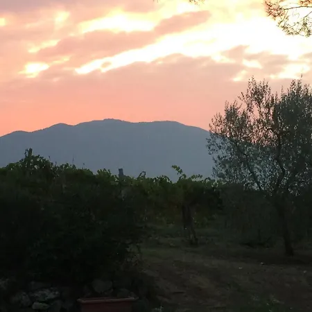 Casa Segreta Baschi